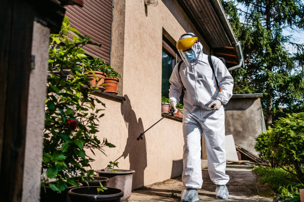 Professional Pest Control in North Lakeport, CA