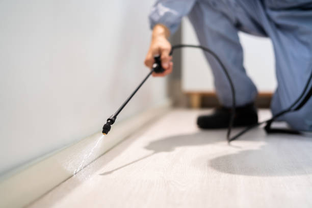 Wildlife Control Services in North Lakeport, CA