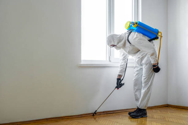 Best Flea Control Services  in North Lakeport, CA