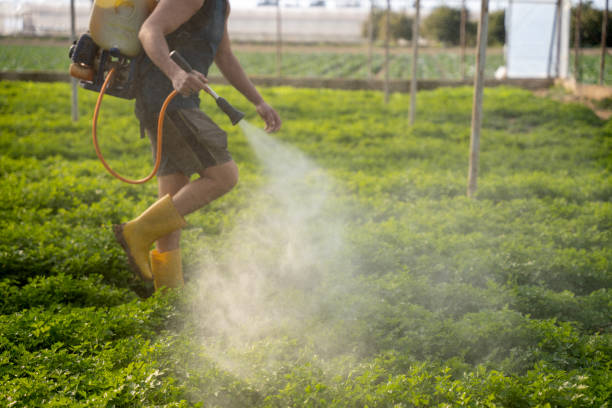 Best Pest Prevention Services  in North Lakeport, CA