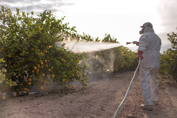 Best Affordable Pest Control Services  in North Lakeport, CA