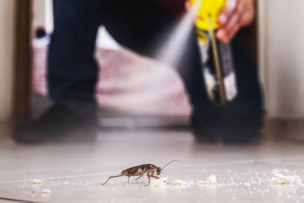 Best Rodent Control Near Me  in North Lakeport, CA
