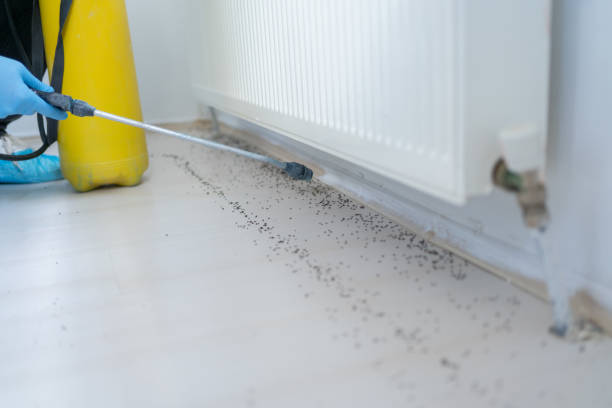 Best Bed Bug Extermination  in North Lakeport, CA