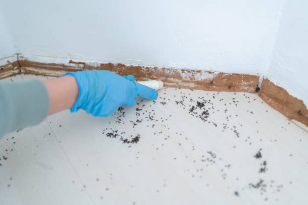 Best Best Pest Control Companies  in North Lakeport, CA