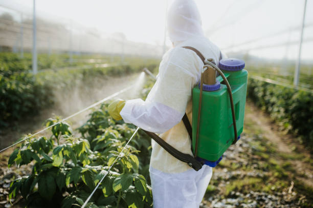 Best Insect Control  in North Lakeport, CA